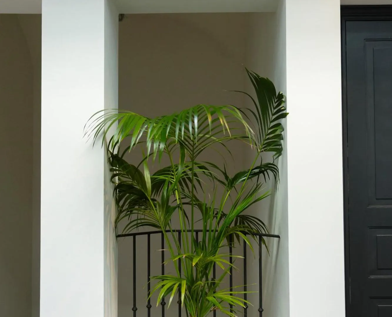 Hotel Boutique Sidonia Jerez de la Frontera